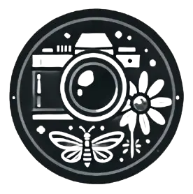 Macro