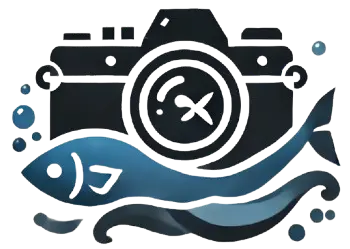 Underwater